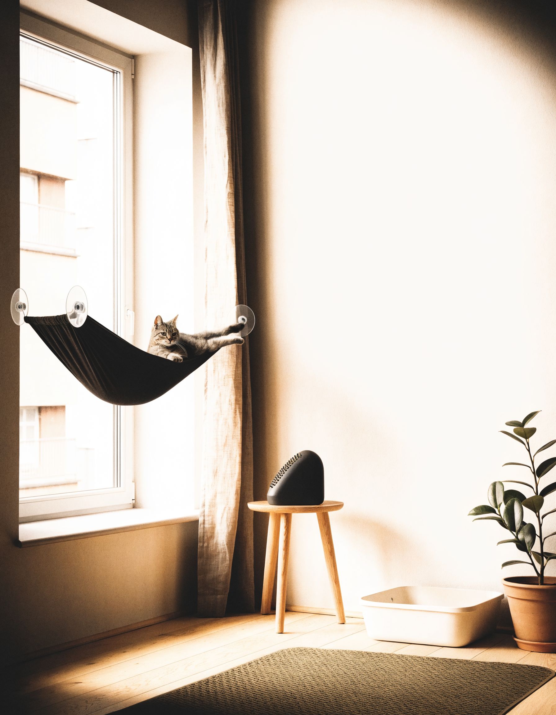 Wohnzimmer: Katze in der Fensterliege am Fenster, Bürste auf Beistelltisch, Streumatte am Boden