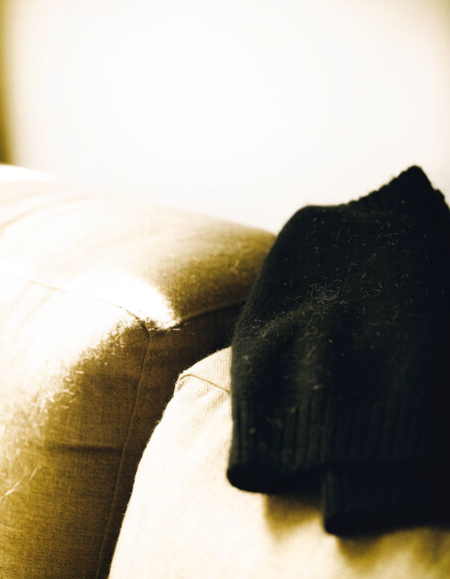 Katzenhaare auf Leinensofa und dunklem Pullover im Streiflicht